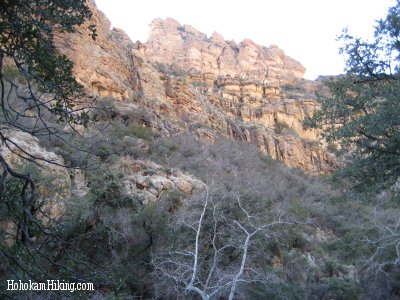 Cliffs in Roger's Canyon